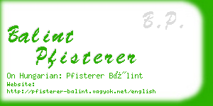 balint pfisterer business card